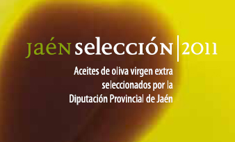jaen seleccion presentacion