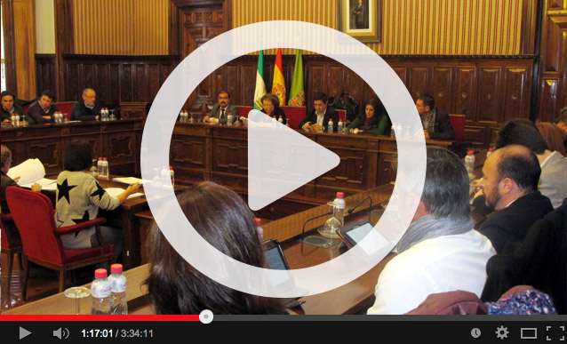 Pleno Extraordinario de 11 de Julio de 2014