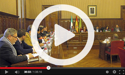 Pleno Extraordinario de 11 de Julio de 2014