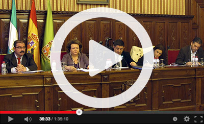 Pleno Ordinario de 2 de febrero de 2015