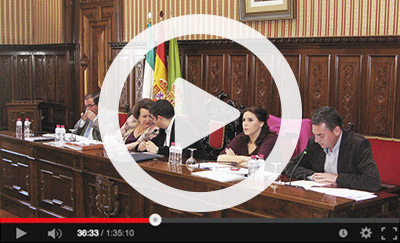 Ver video del Pleno Ordinario de 31 de marzo de 2015