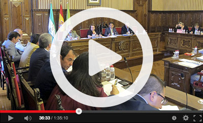 Ver video del Pleno Ordinario de 5 de mayo de 2015