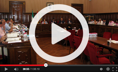 Ver video del Pleno Ordinario del 21 de julio de 2015