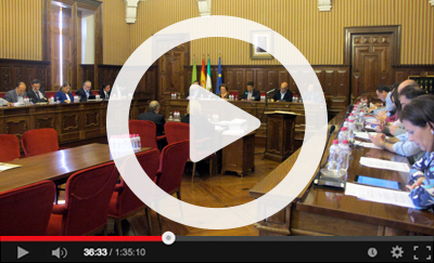 Ver video del Pleno Ordinario del 29 de octubre de 2015