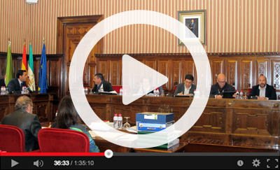 Ver video del Pleno Ordinario del 29 de diciembre de 2015