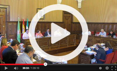 Ver v&iacute;deo del Pleno Ordinario del 4 de julio de 2016
