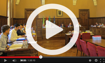 Ver vídeo del Pleno Ordinario del 28 de julio de 2016