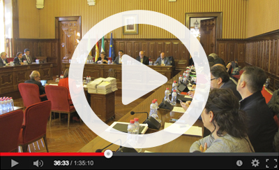 Ver vídeo del Pleno Ordinario del 31 de enero de 2017