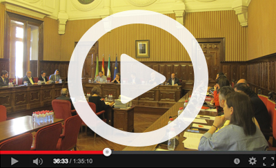 Ver v&iacute;deo del Pleno Ordinario del 3 de abril de 2017