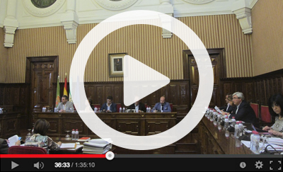 Ver vídeo del Pleno Ordinario del 4 de mayo de 2017
