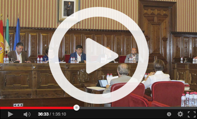 Ver vídeo del Pleno Ordinario del 30 de mayo de 2017