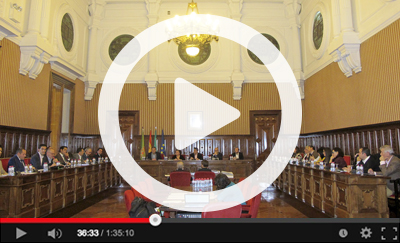 Ver v&iacute;deo del Pleno Ordinario del 29 de diciembre de 2017