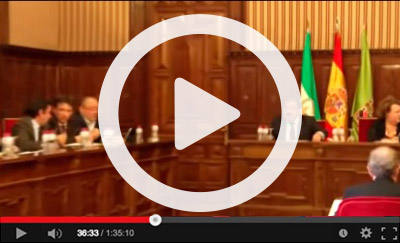 Ver video del Pleno Ordinario de 3 de marzo de 2015