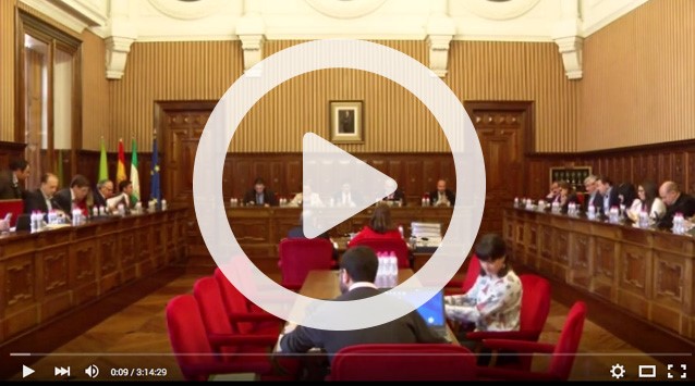 Ver v&iacute;deo del Pleno Ordinario del 2 de febrero de 2016