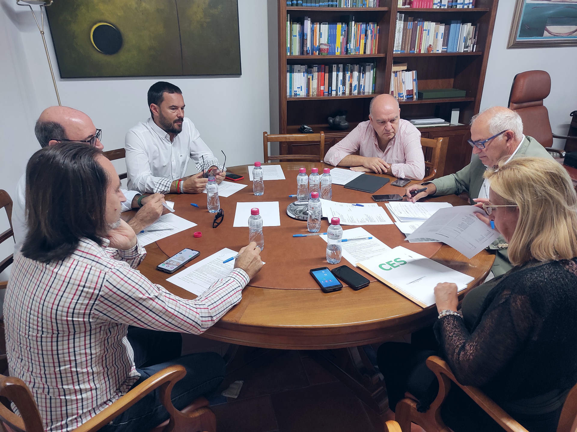 Los miembros de la Comisión Permanente del CES provincial de Jaén durante su reunión de esta semana. JPG de 747 KBS. | Diputación de Jaén | Ampliar imagen