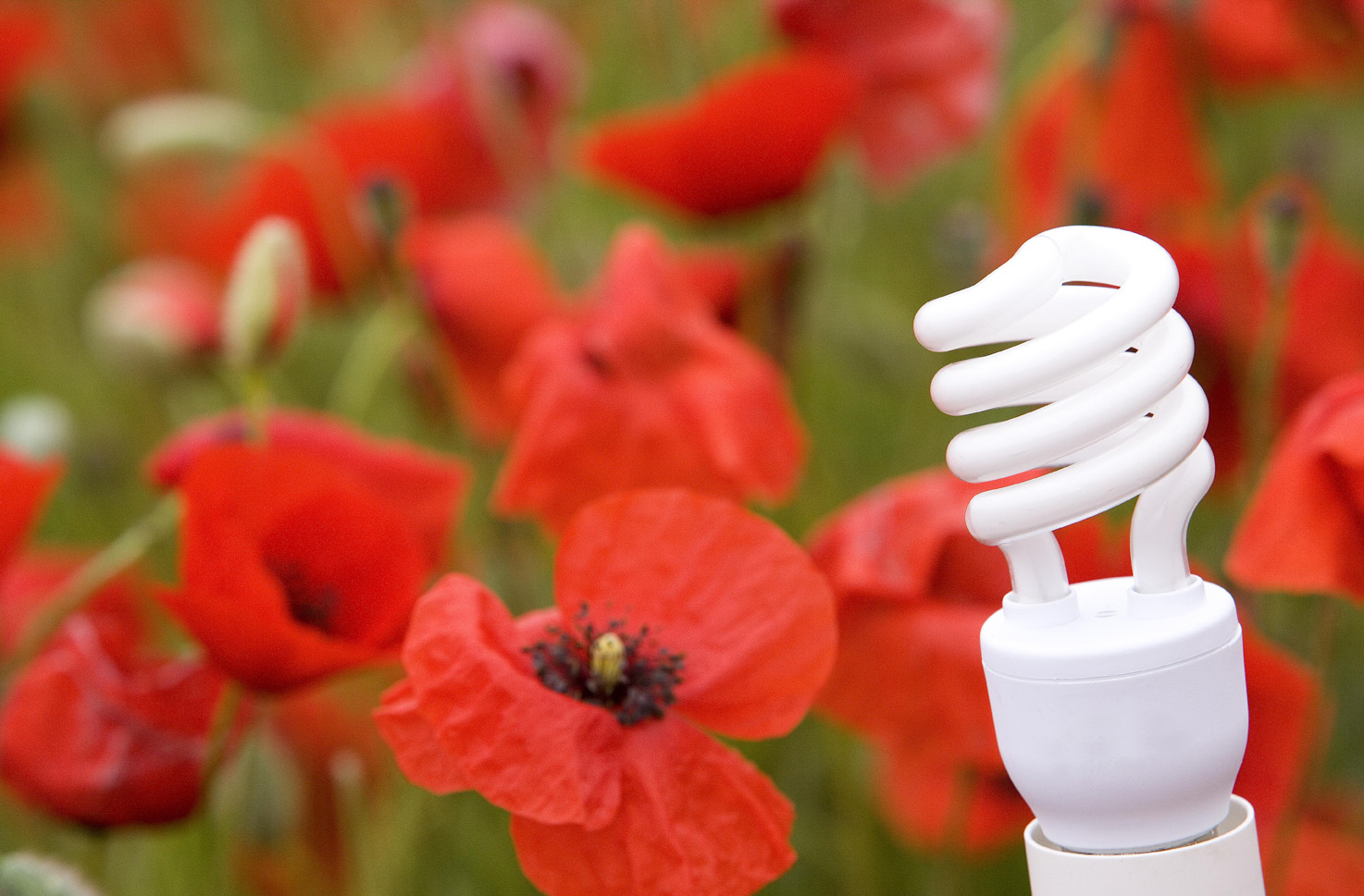 Foto 5 Energ&iacute;a