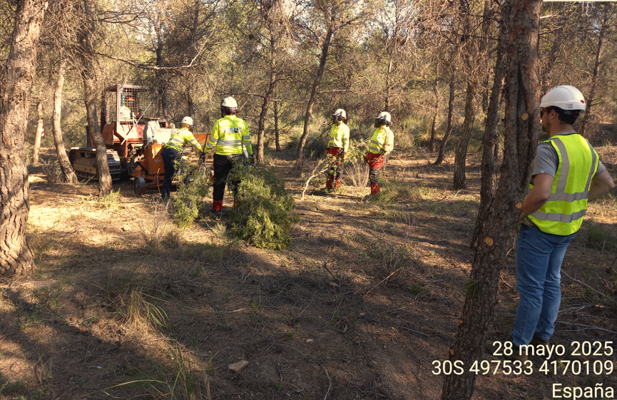 Captura de clareo huesa
