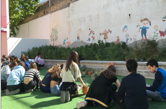 Huesa_CEIP_6_plantacion