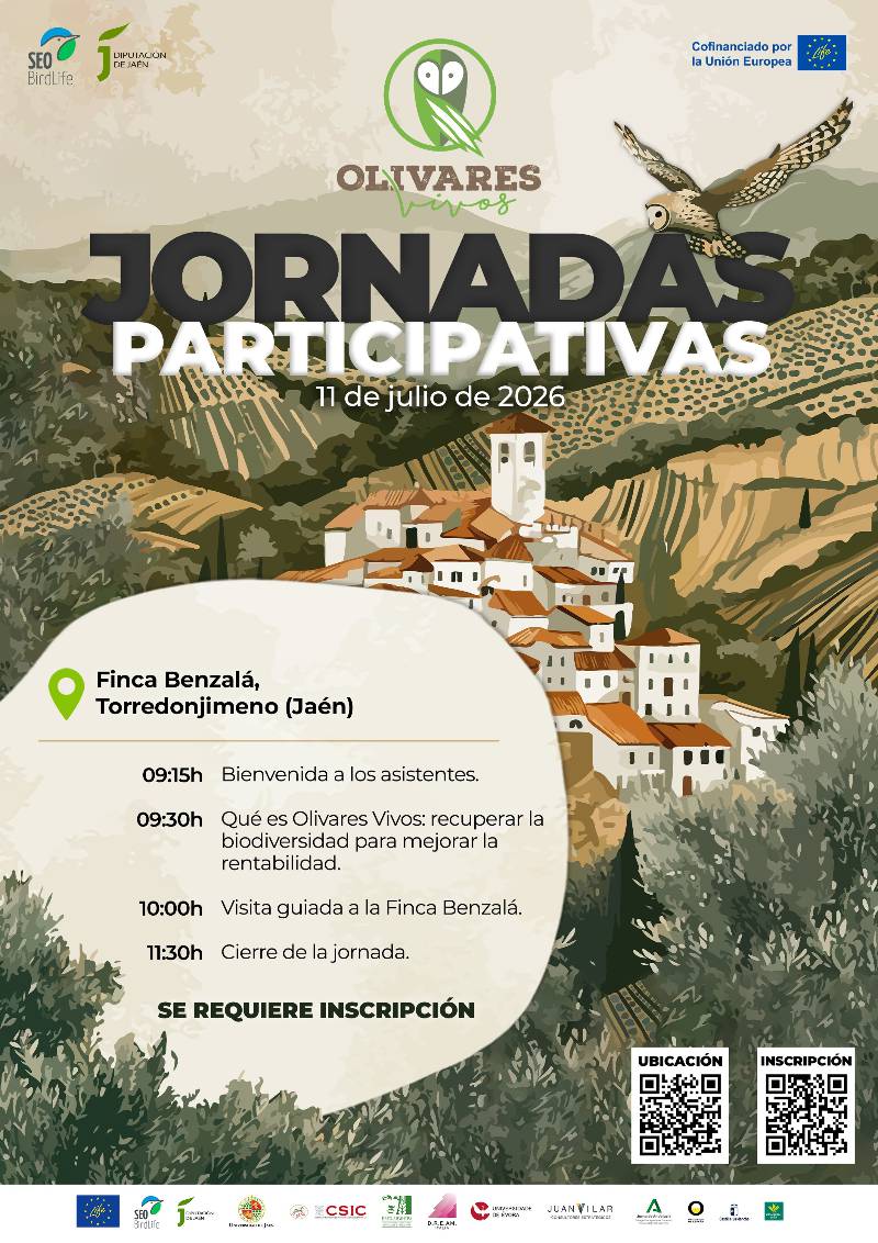 Openday Torredonjimeno