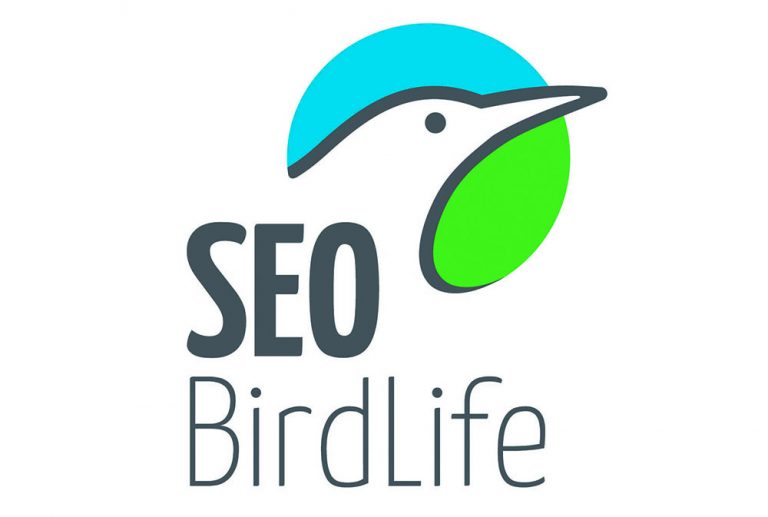seo_logo-1-768x517