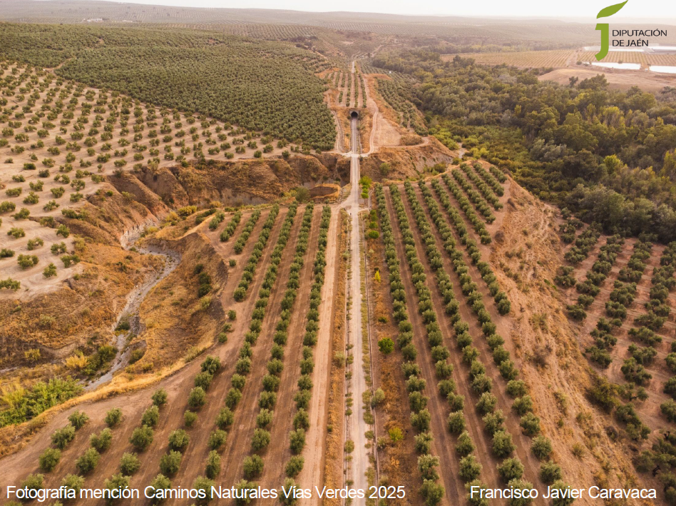 Geometr&iacute;a rural y V&iacute;a viva