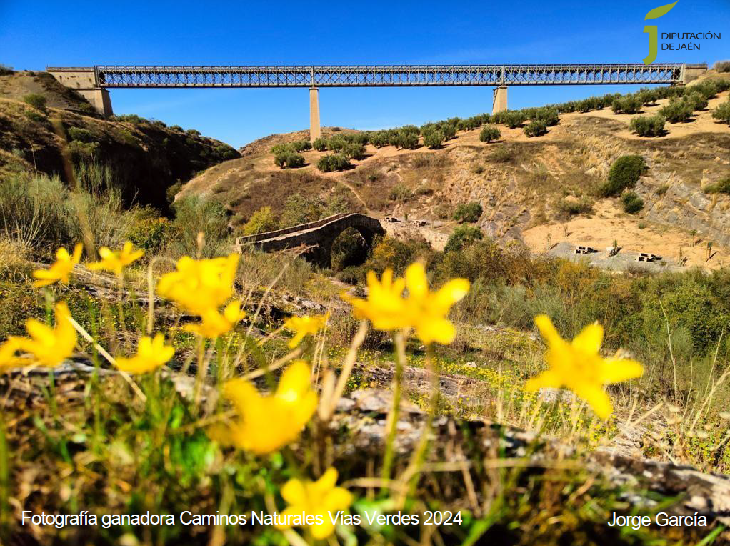 &Eacute;pocas encontradas entre flores