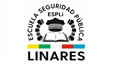Logotipo Fundación Democracia y Gobierno Local 