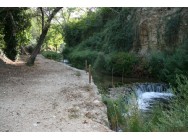 Fotografía del río Vadillo antes de la construcción del sendero. JPEG de 923 KB