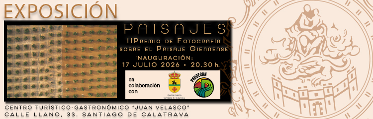 Paisajes II (Santiago de Calatrava)