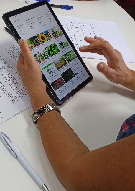 foto prevalidaci&oacute;n _5R