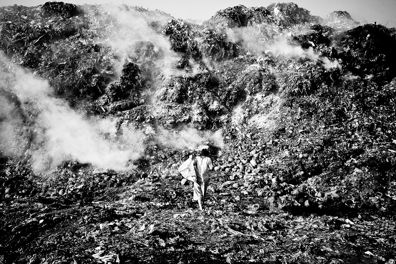 Pulsa para ampliar la imagen: Foto 1 segundo premio