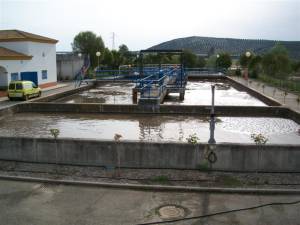 EDAR MARMOLEJO (24) (Medium)