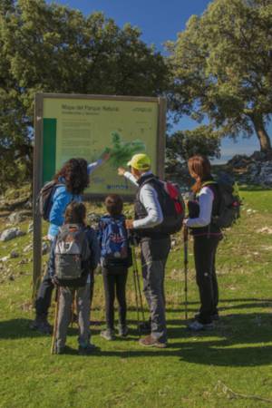 Plan Sierra M&aacute;gina