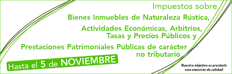 Pago de impuestos | Servicio de Recaudación | Diputación Provincial de Jaén