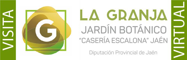 QuedateEnCasa-LaGranja-slide