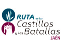 www.castillosybatallas.es