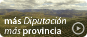 Reproducción del vídeo: Más Diputación, Más Provincia