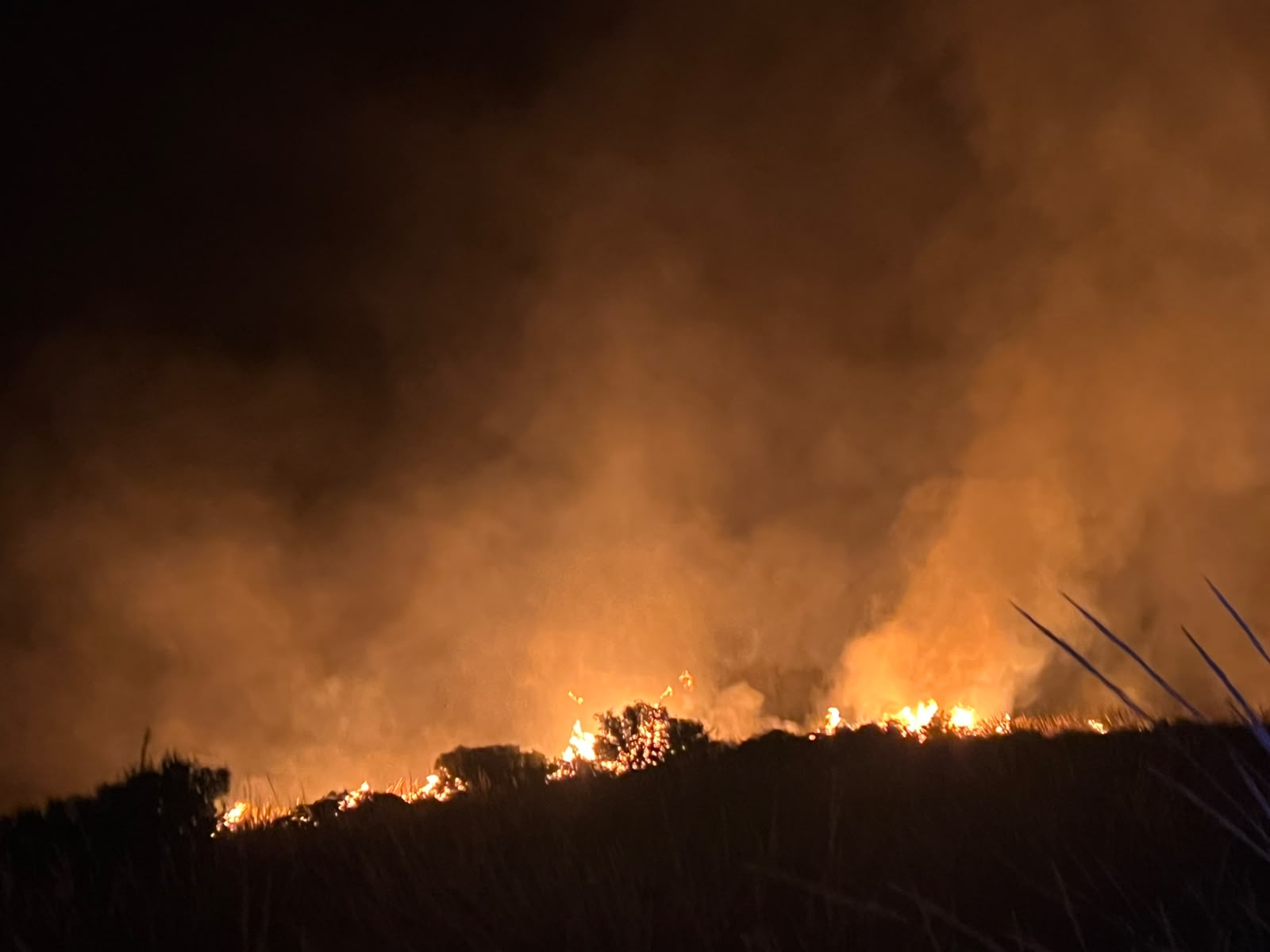 Imágenes de este incendio