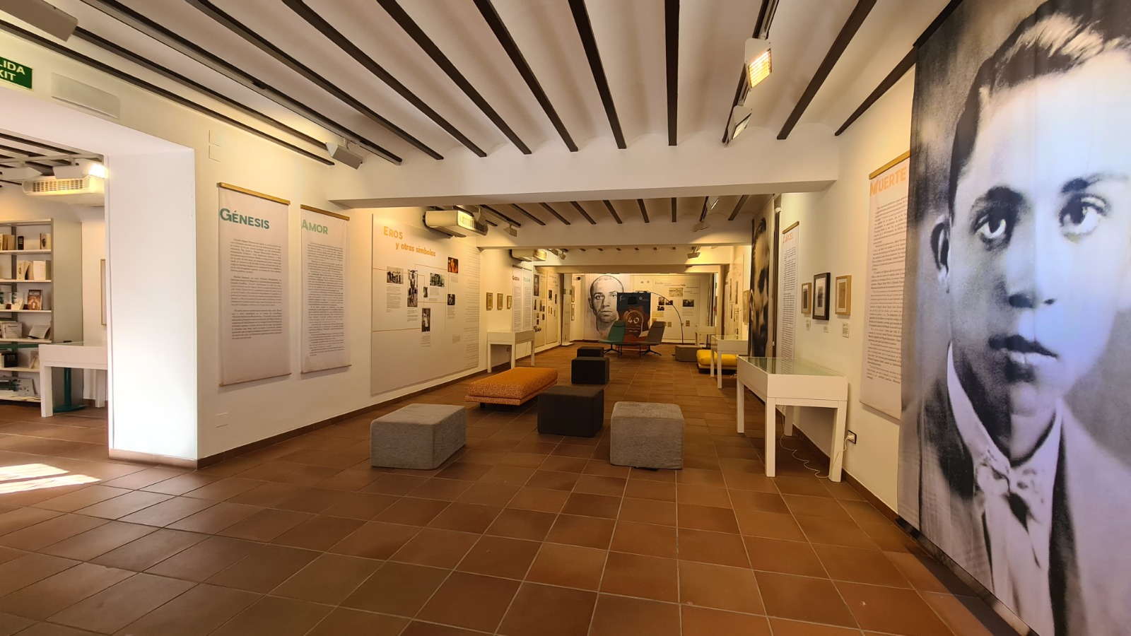 Panorámica de la exposición | Diputación de Jaén | Ampliar imagen