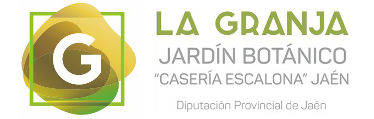 Visita Virtual 