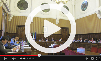 Ver vídeo del Pleno Ordinario del 4 de abril de 2018