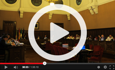 Ver v&iacute;deo del Pleno Ordinario del 29 de junio de 2018