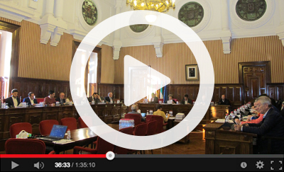 Ver v&iacute;deo del Pleno Ordinario del 29 de noviembre de 2018
