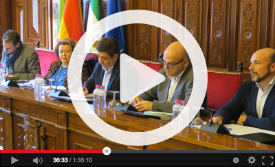 Ver v&iacute;deo del Pleno Ordinario del 1 de febrero de 2019