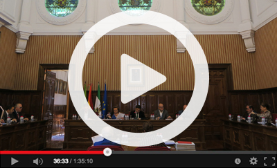Ver v&iacute;deo del Pleno Ordinario del 27 de febrero de 2019