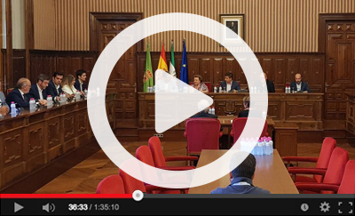 Ver v&iacute;deo del Pleno Extraordinario del 8 de julio de 2019