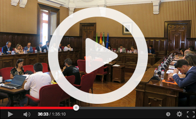 Ver v&iacute;deo del Pleno Extraordinario del 17 de julio de 2019