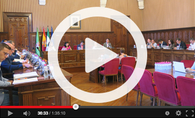 Ver v&iacute;deo del Pleno Ordinario del 30 de julio de 2019