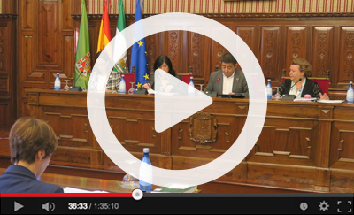 Ver v&iacute;deo del Pleno Ordinario del 30 de octubre de 2019