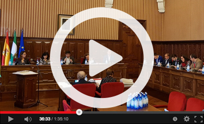 Ver v&iacute;deo del Pleno Ordinario del 27 de noviembre de 2019
